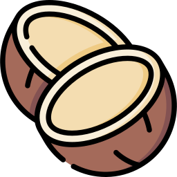 Coconut icon