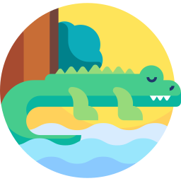 crocodile Icône