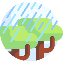 regen icon