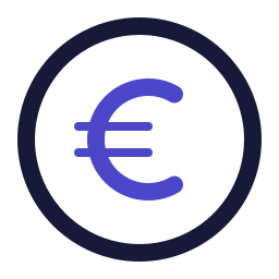 Euro icon