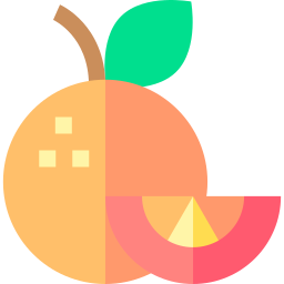 Orange icon