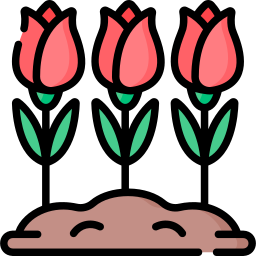 rosen icon