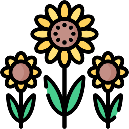 Sunflower icon