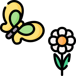 Butterfly icon