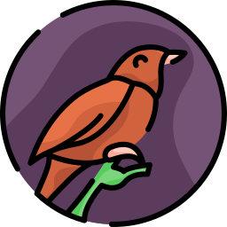 Nightingale icon