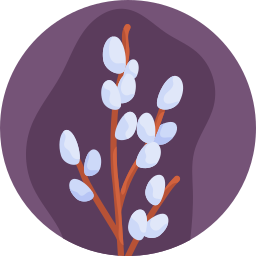 Willow icon