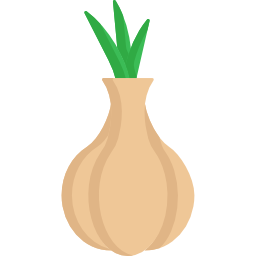 Onion icon