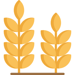 Wheat icon