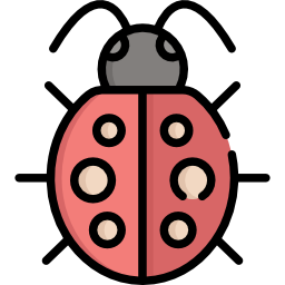 Ladybug icon