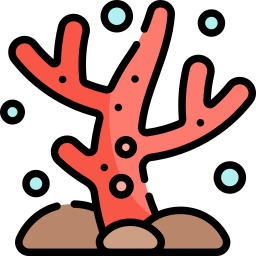 Coral icon