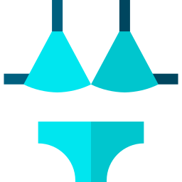 Bikini icon