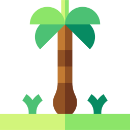 Coconut tree icon