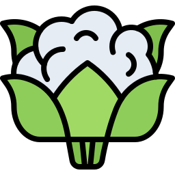 blumenkohl icon