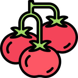 tomate icon