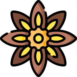 Anise icon