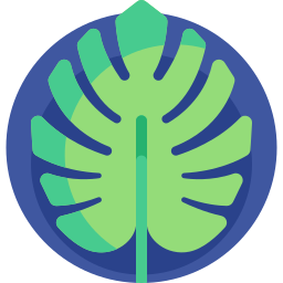 monstera icon