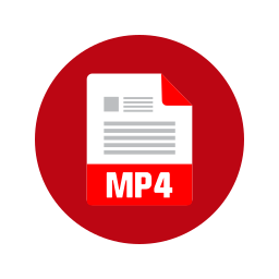 mp4ファイル icon