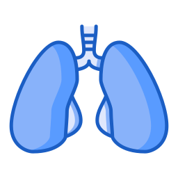 Lungs icon