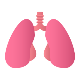 Lungs icon