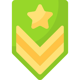 Badge icon