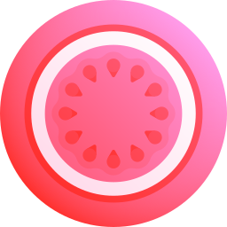 Watermelon icon