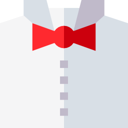 Bow tie icon