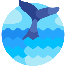 baleine Icône