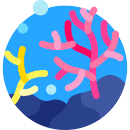 Coral reef icon