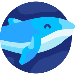 Whale icon