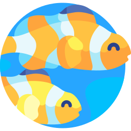 Clown fish icon