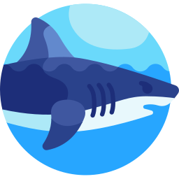 Shark icon