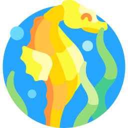 Seahorse icon