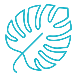 Monstera icon