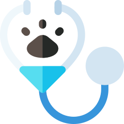 Stethoscope icon