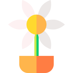 gänseblümchen icon