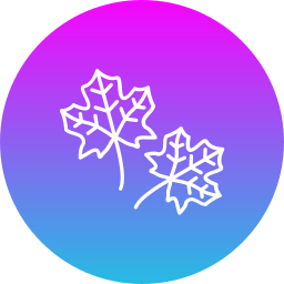 Maple leaf icon