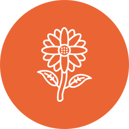 sonnenblume icon