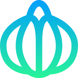 Onion icon