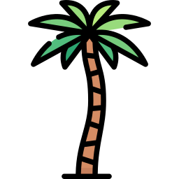 Palm tree icon