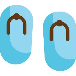 flip flops icon