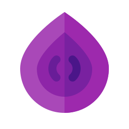 Onion icon