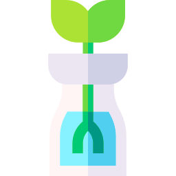 Sprout icon