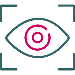 vision icon