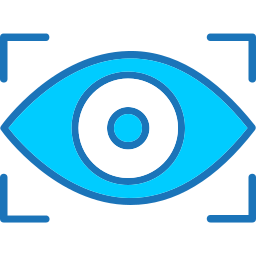 vision icon