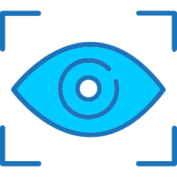 vision icon