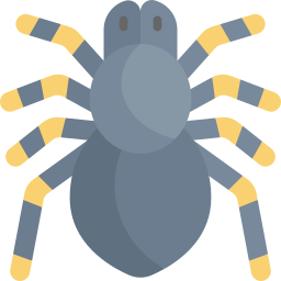 Tarantula icon