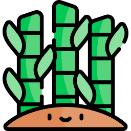 Bamboo icon