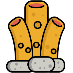 Sponge icon