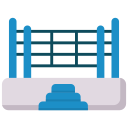 boxring icon