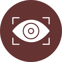 vision icon